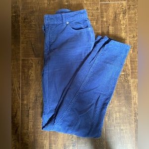 Blue BDG Urban Outfitter Cords